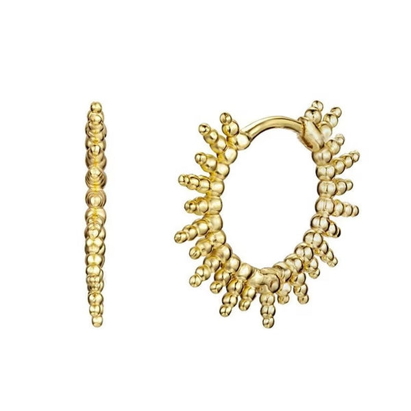 Vera Hoops Earrings